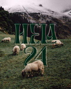 hela 24 schafe